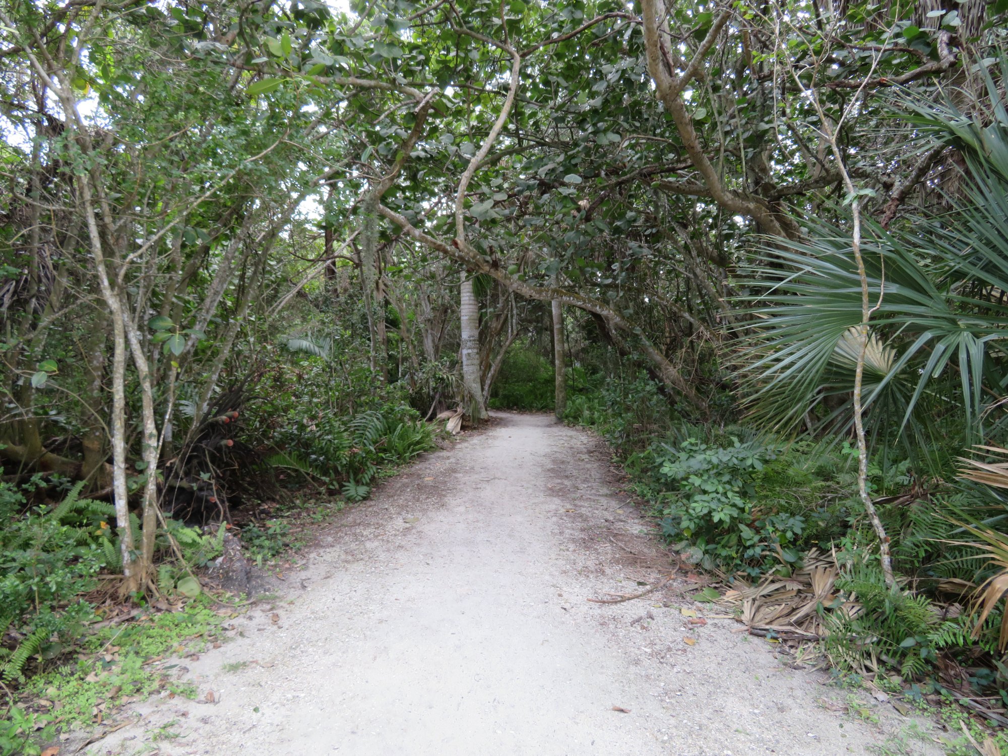 Gulfside City Park Beach (Sanibel Island) - All You Need To Know BEFORE ...