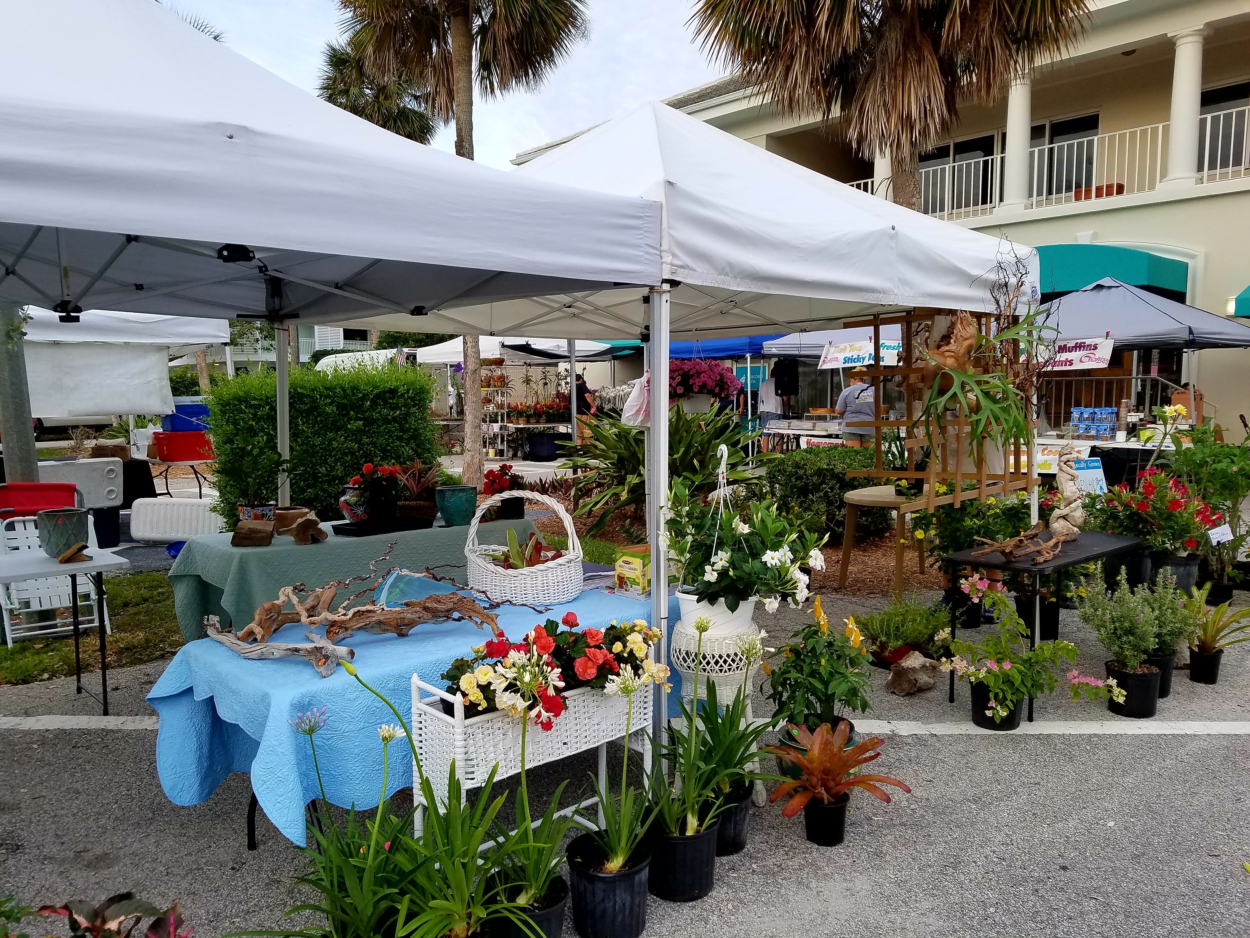 Tripadvisor   Vero Beach Farmers Market 