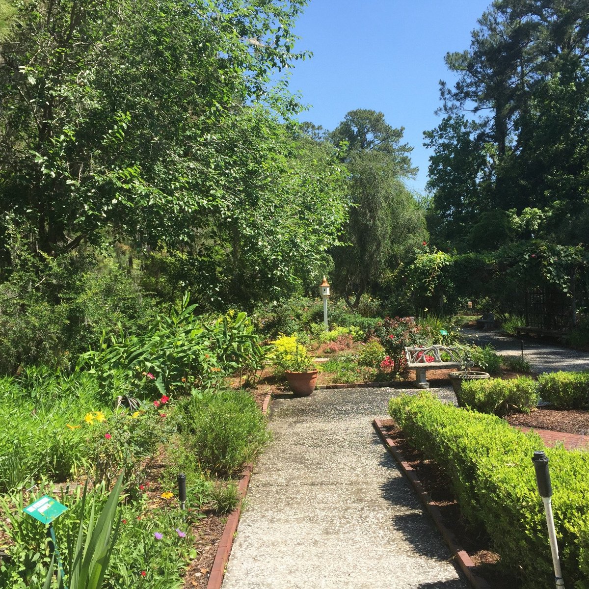 BOTANICAL GARDEN (Savannah) Ce qu'il faut savoir pour votre visite