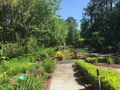 The Best Savannah Gardens Updated 2024