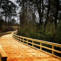 Trail