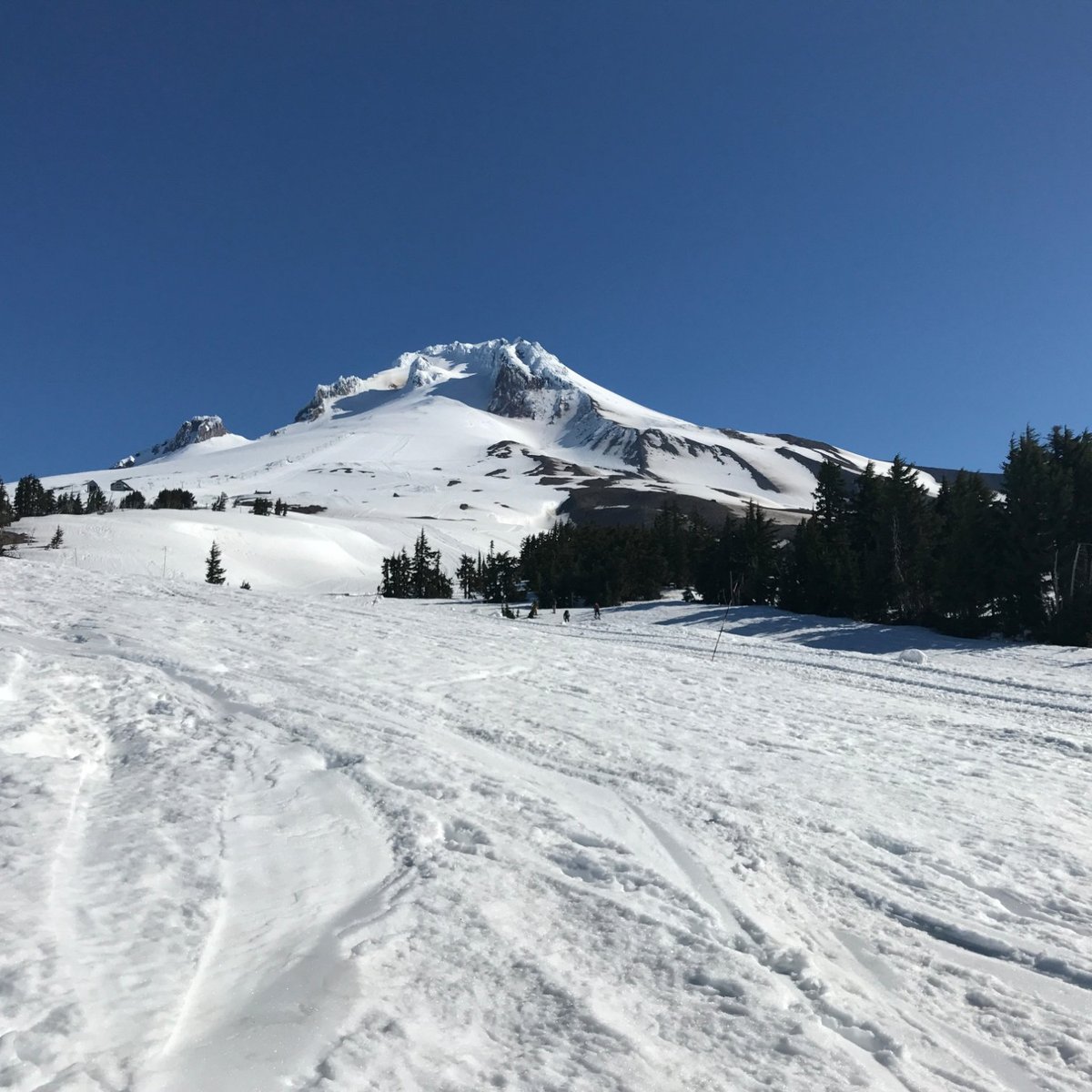 Timberline Summit Pass (Government Camp) All You Need to Know BEFORE