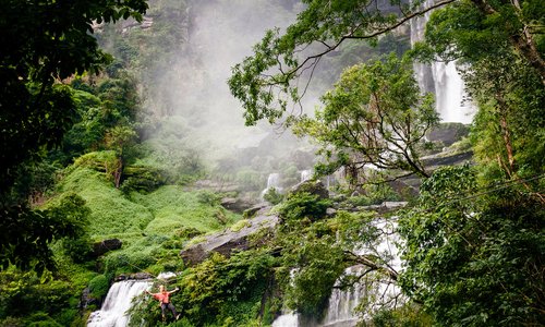 Zip-line through the green jungle of the Bolaven Plateau