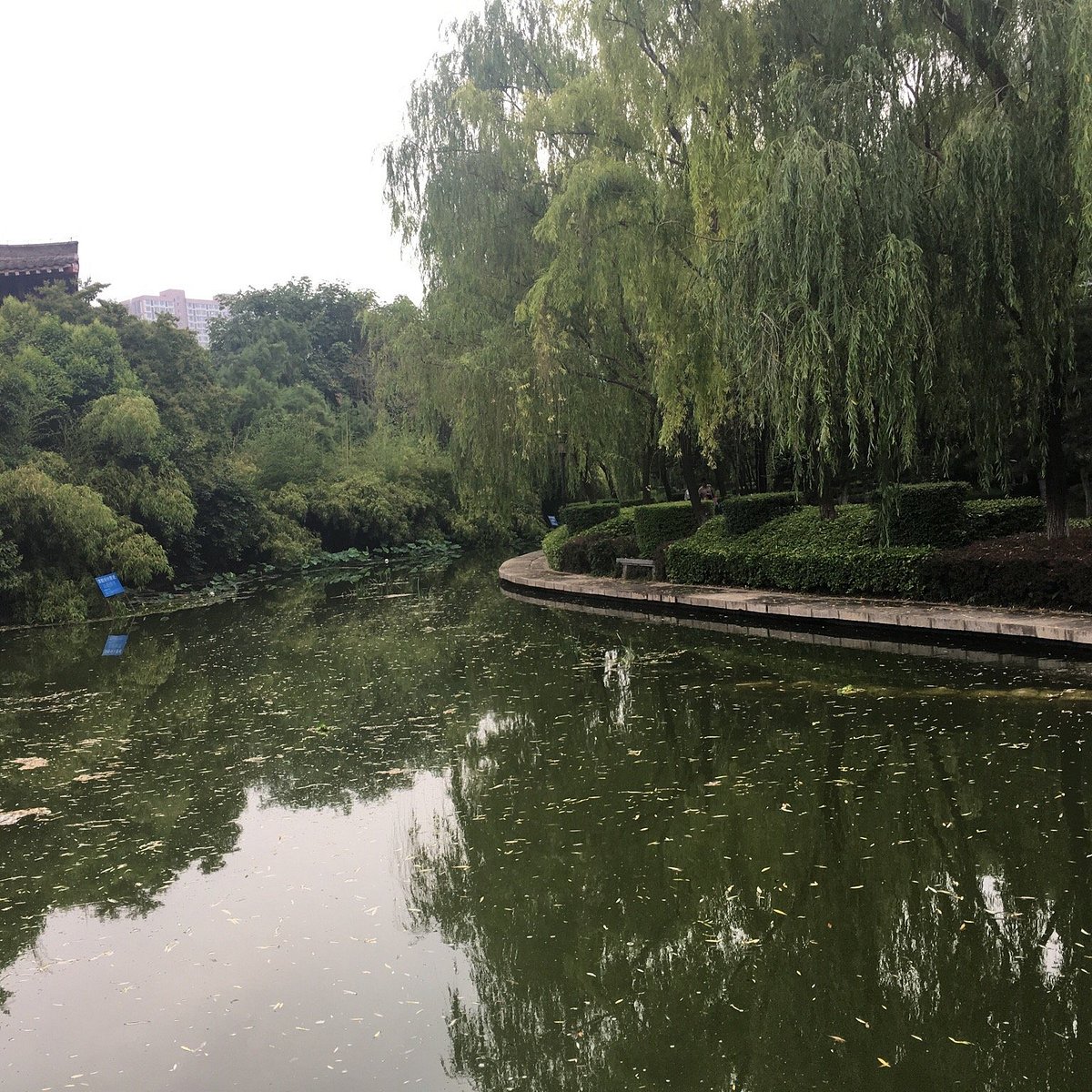 Qingfeng Park, Xi'an