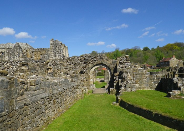 National Centre for Birds of Prey - Visit Helmsley Visit Helmsley