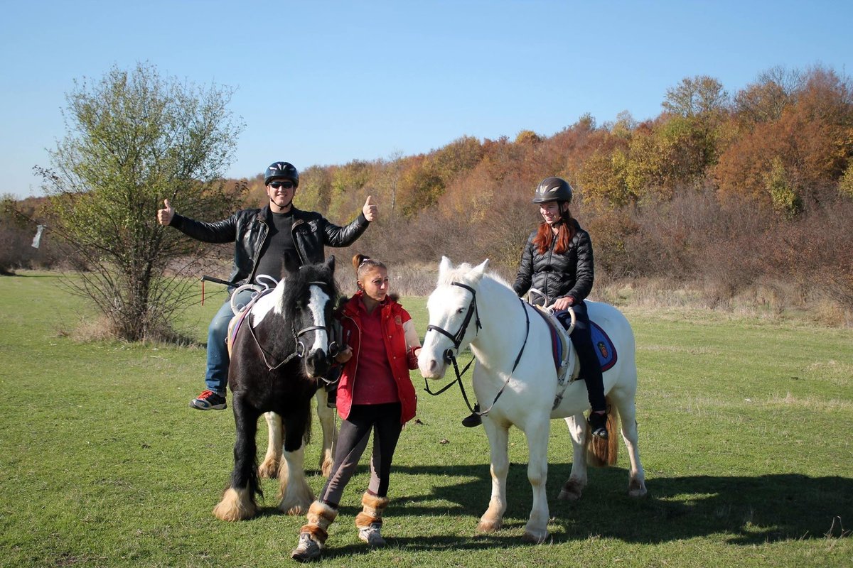 Royal Horse Club, Бургас: лучшие советы перед посещением - Tripadvisor