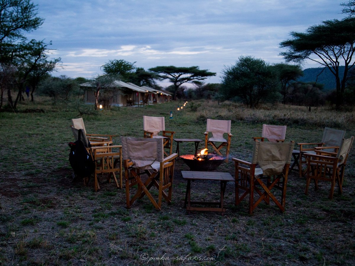 Pumba Safaris Tanzania - All You Need to Know BEFORE You Go (2024)