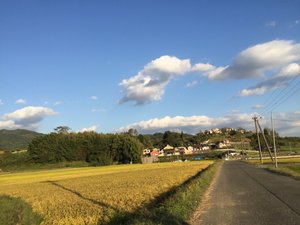 旅行者の写真