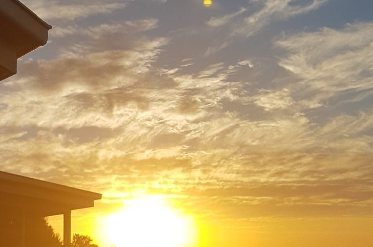 Some of what you are able to experience wben you come to the caravan park.