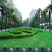 виды в парке