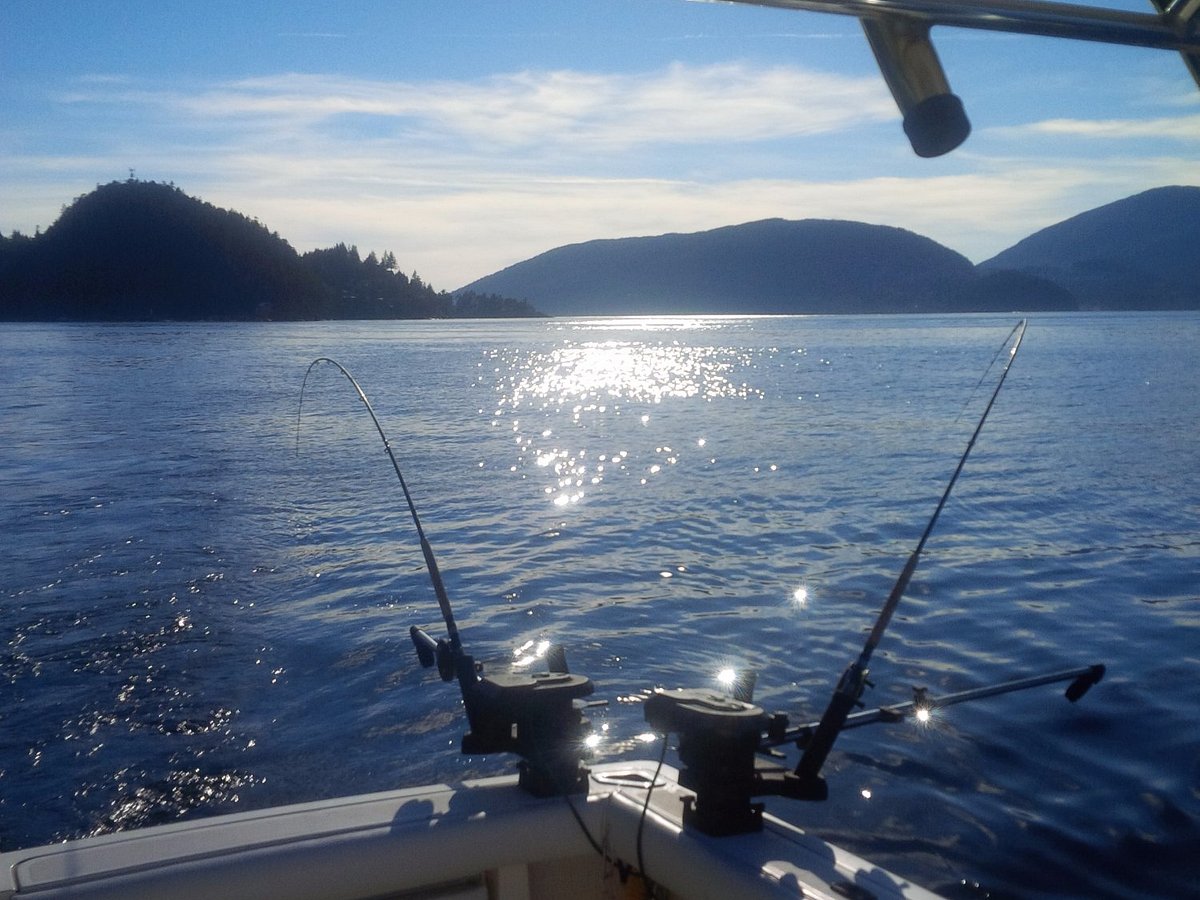 Catch lots of fish - Picture of Watermark Salmon Fishing Charters, West  Vancouver - Tripadvisor