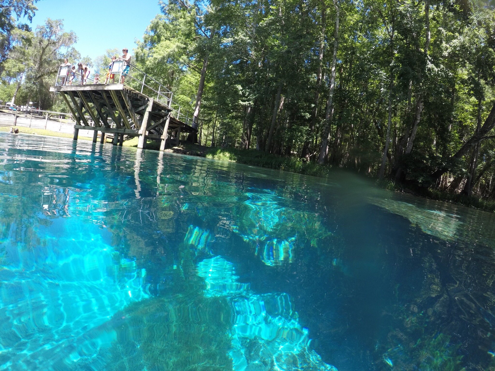 Blue Springs Park All You Need to Know BEFORE You Go 2024