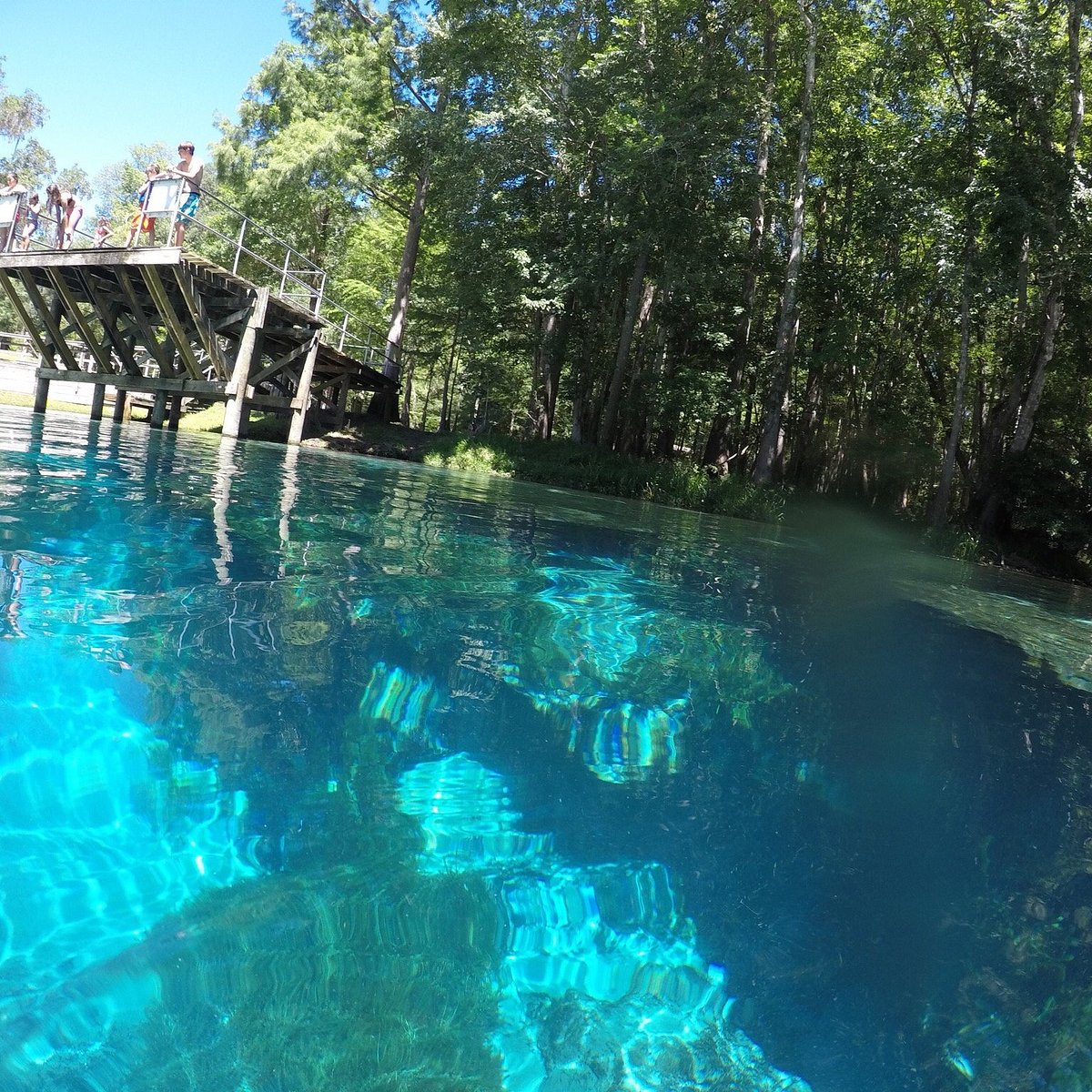 Blue Springs Park (High Springs) All You Need to Know BEFORE You Go