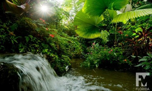 The Rainforest features waterfalls and hundreds of living butterflies. Photo by Eric Zamora