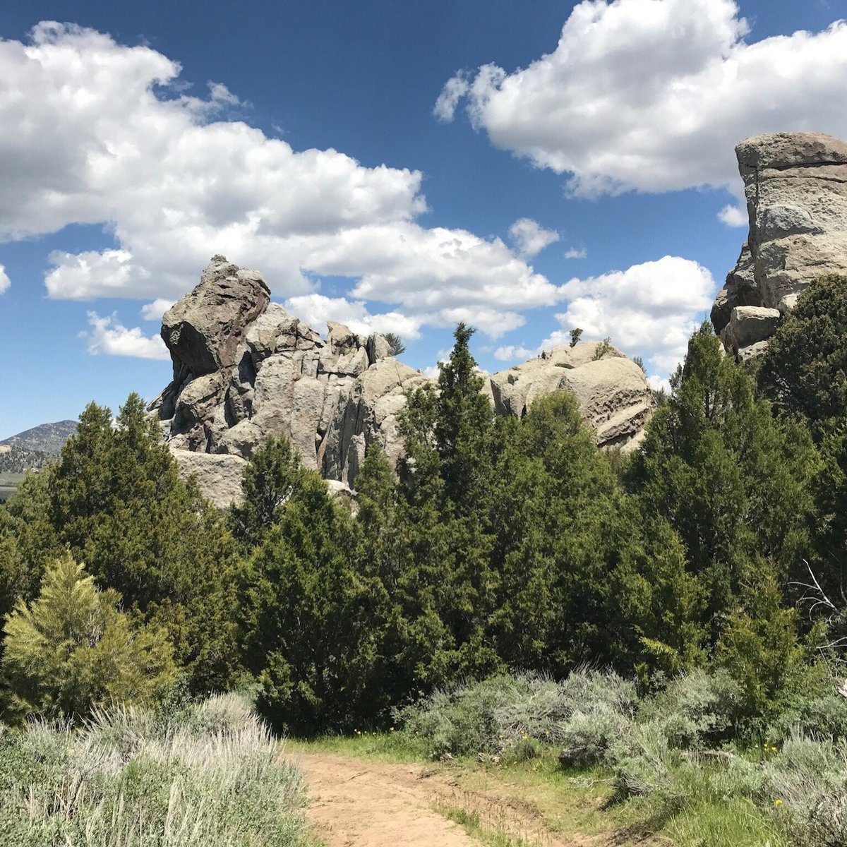 are dogs allowed at castle rock state park