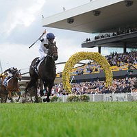 She Will Reign, 2017 $3.5million Longines Golden Slipper winner