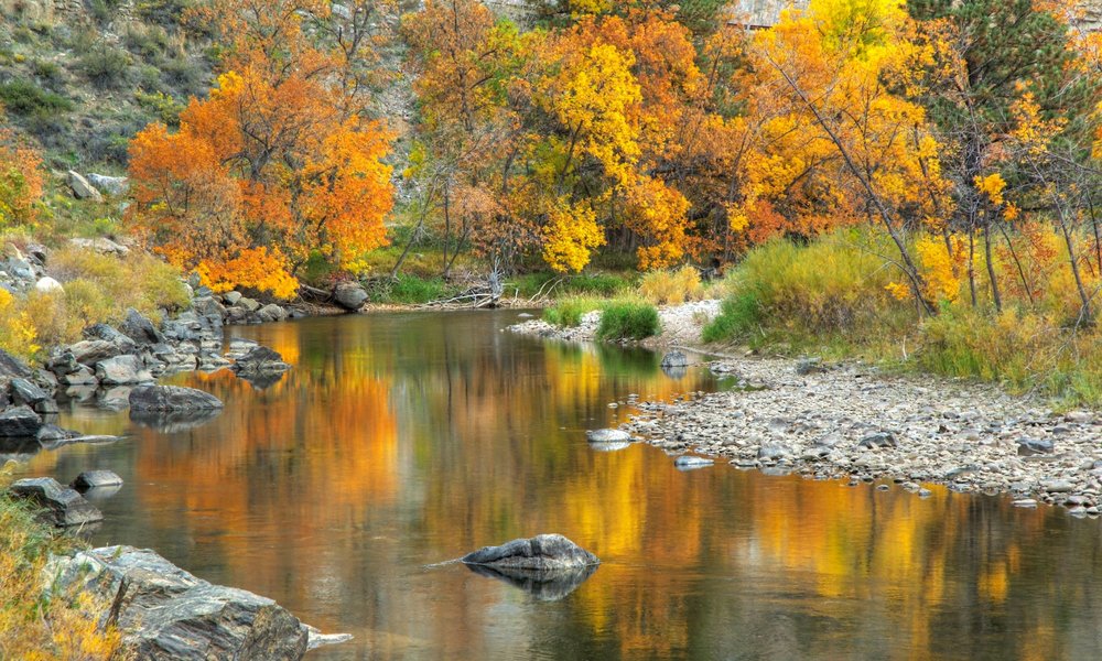 Fort Collins 2021  Best Fort Collins  Tourism Tripadvisor