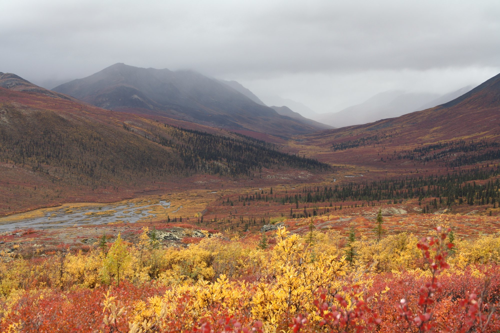 THE KLONDIKE EXPERIENCE (Dawson City) - 2022 What to Know BEFORE You Go