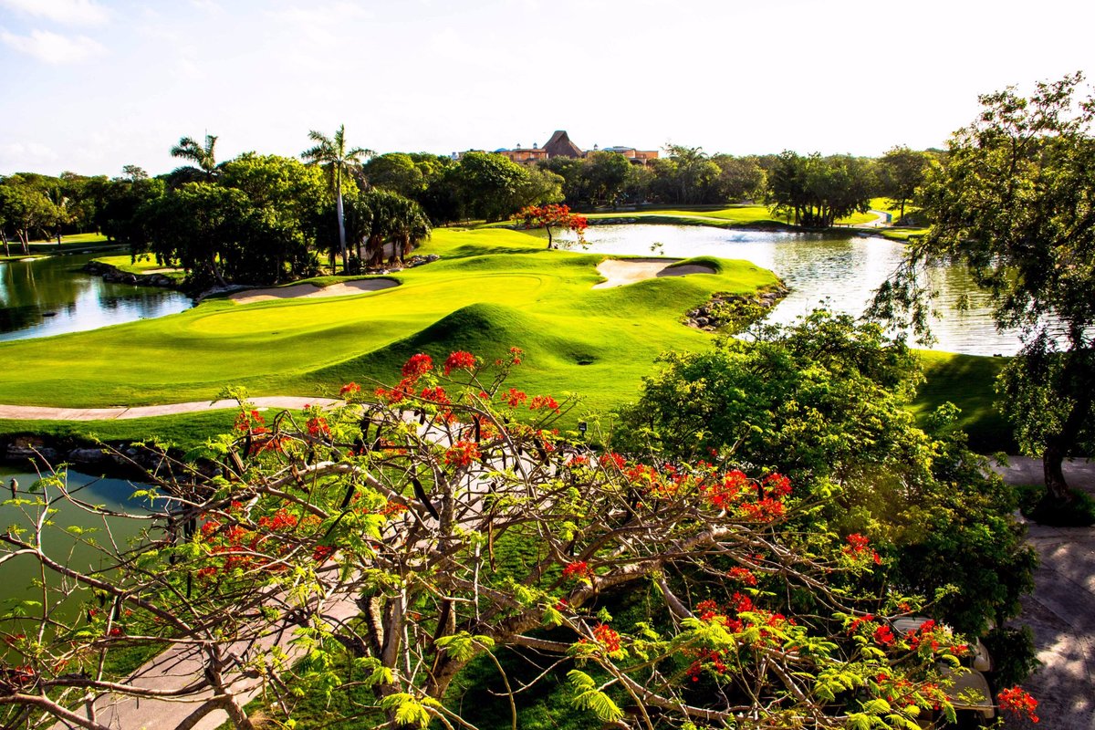 Introducir 67+ imagen hard rock golf club riviera maya