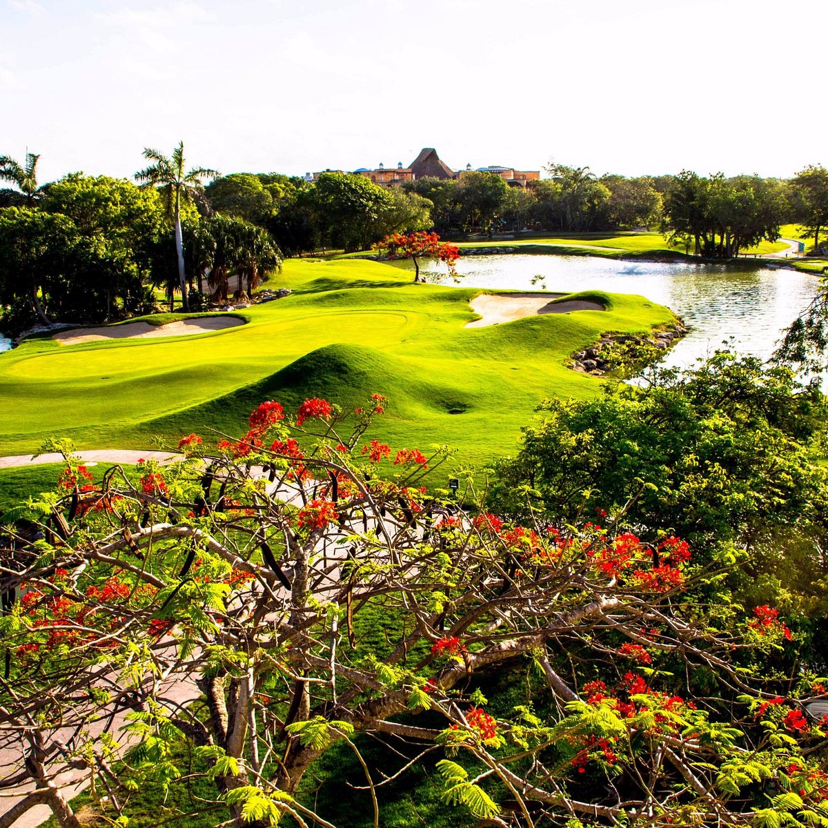 hard rock cafe golf playa del carmen