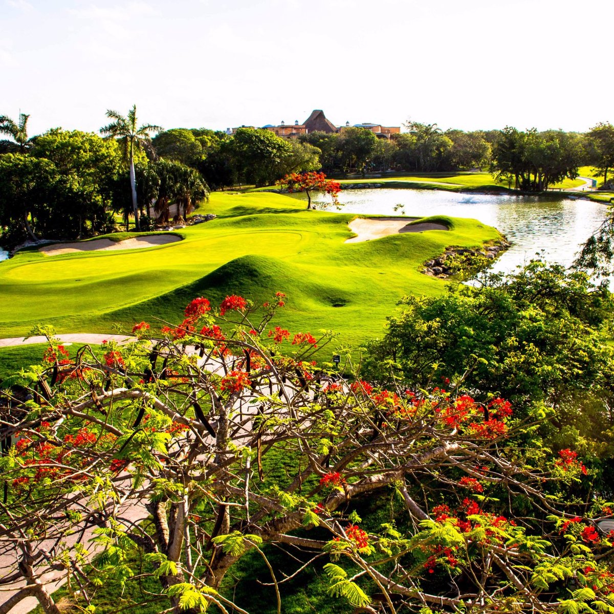 golf clubs playa del carmen