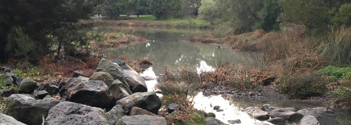huntingdale wetlands