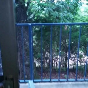 View from the room