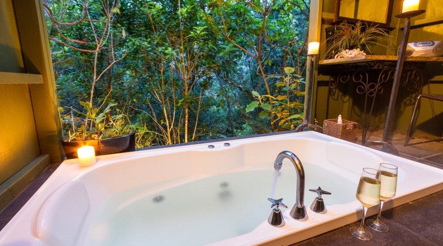Treetop Bathhouse with rainforest view