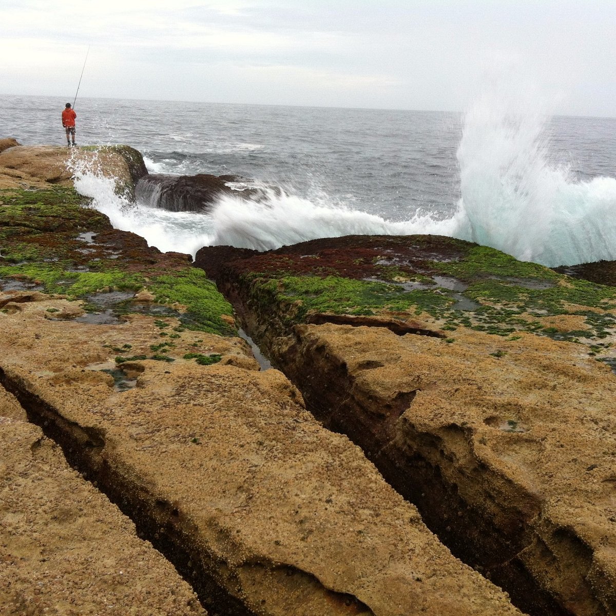 Flat Rock: a perfect Bondi 'beach' without the tourist trappings