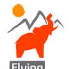 Flying Elephant Tours and Leisue
