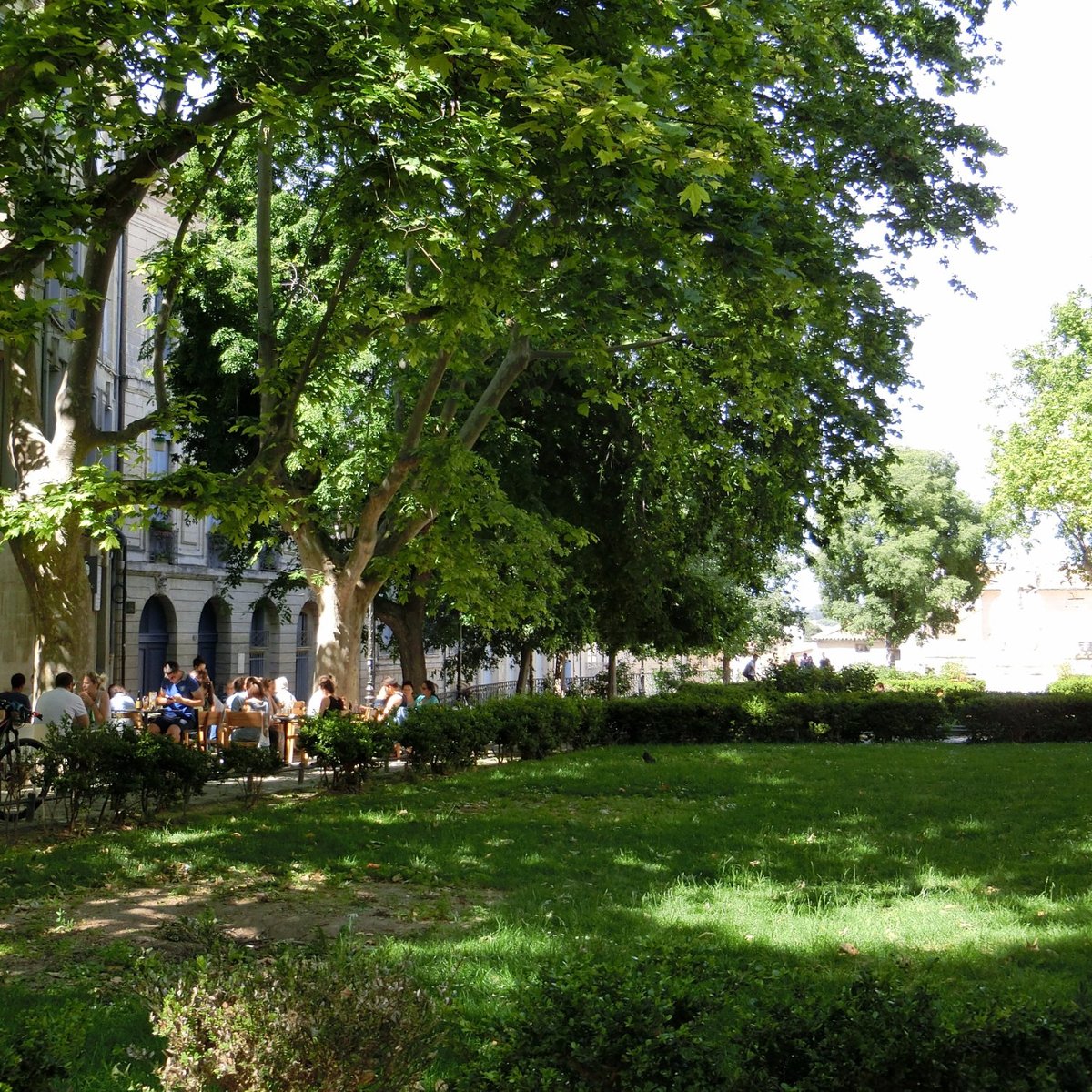 Place de la Canourgue, Монпелье: лучшие советы перед посещением -  Tripadvisor