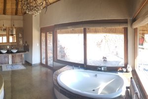 Room & Suite