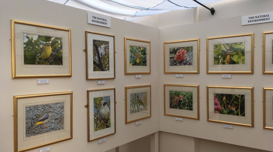 Exhibition