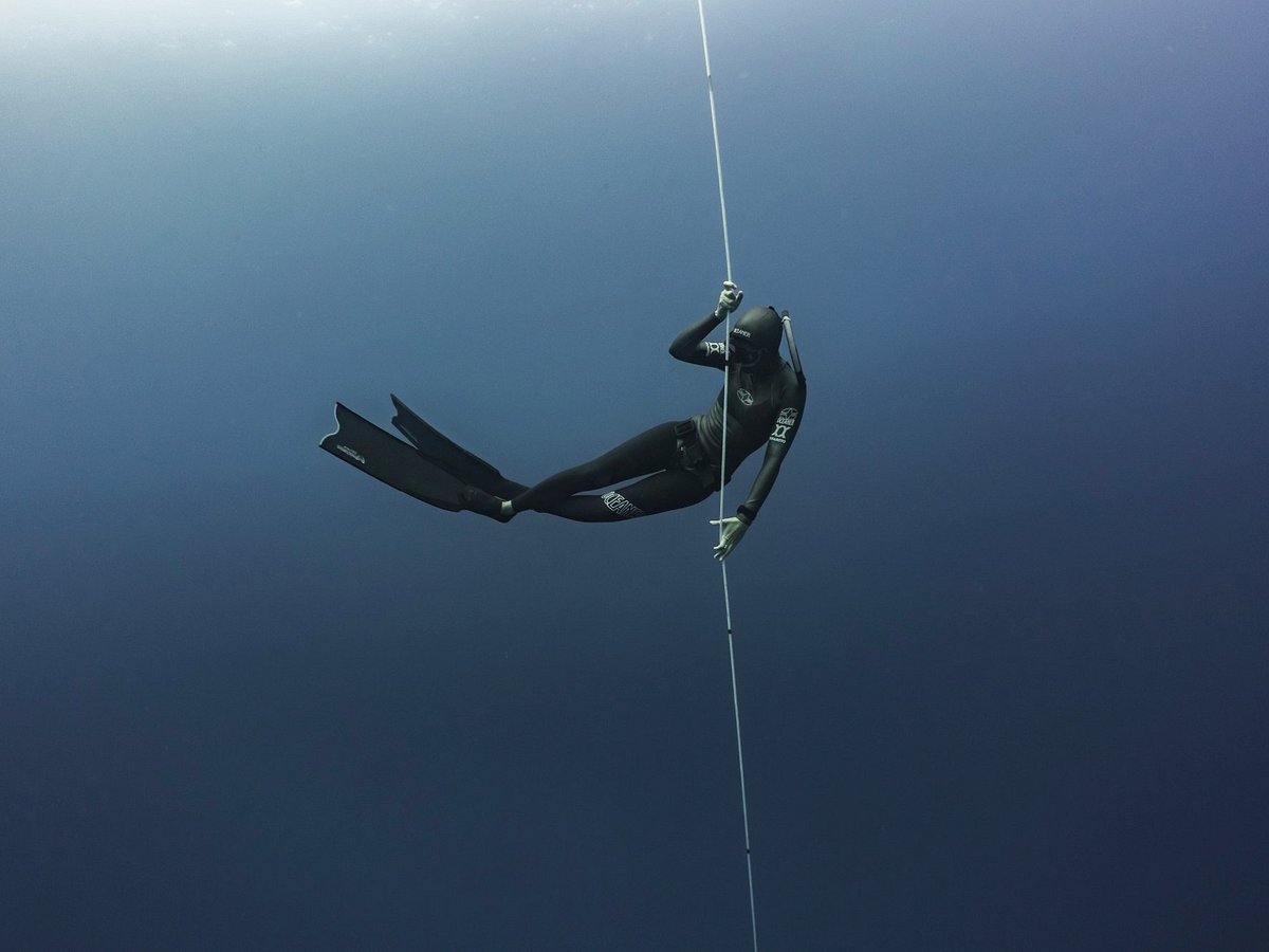 Kona Freedivers - All You Need to Know BEFORE You Go (2024)
