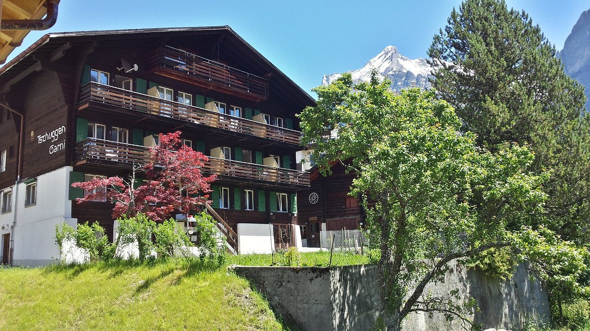 Hotel Tschuggen, Hotel am Reiseziel Grindelwald