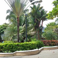 Beautiful Trees and area to walk and sit