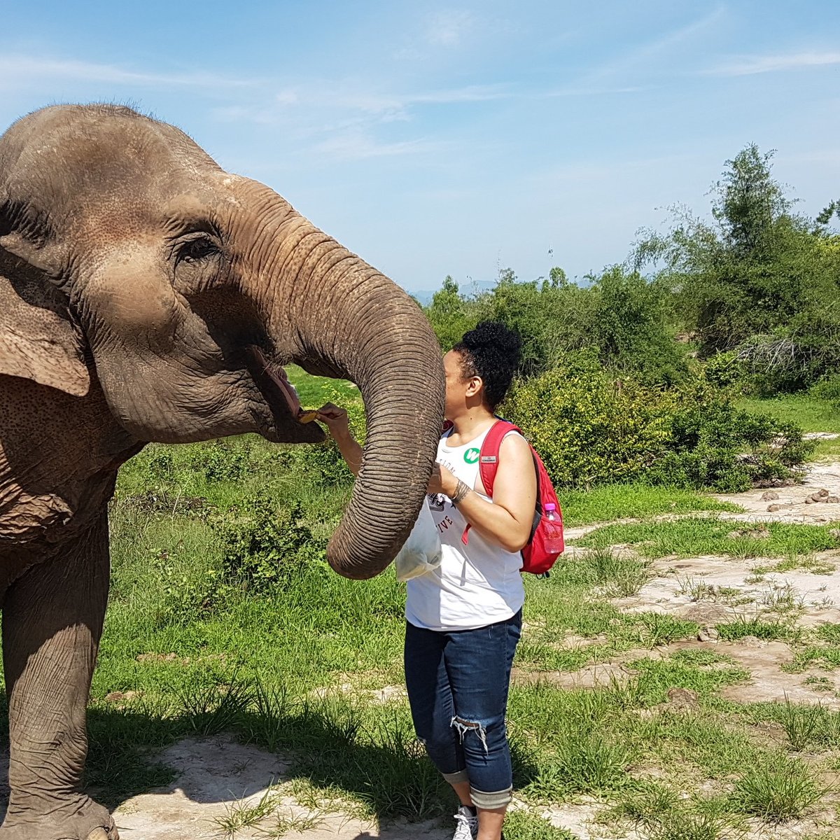 Hutsadin Elephant Foundation, Хуахин: лучшие советы перед посещением -  Tripadvisor