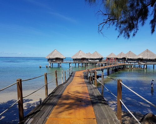 top-hotels-in-tahiti-from-70-free-cancellation-on-select-hotels