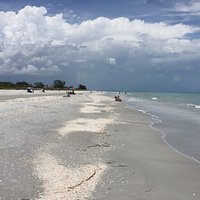Great beach with lots of shells!!