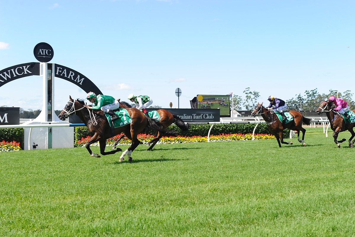 Warwick Farm Racecourse, Ворвик-Фарм: лучшие советы перед посещением -  Tripadvisor