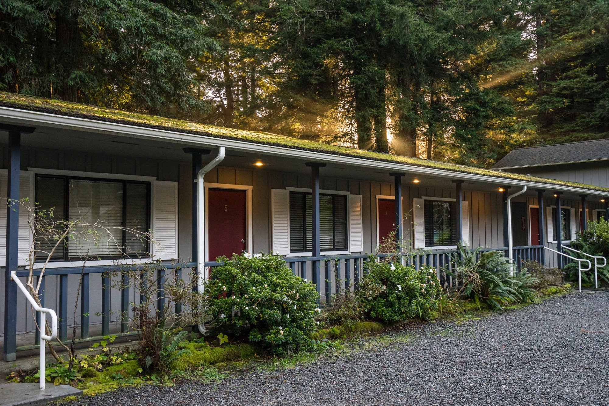 Trinidad Inn by null
