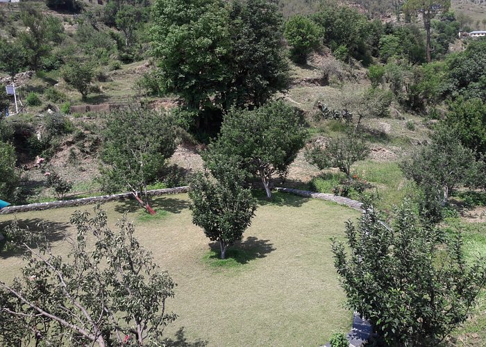 Lawn View of Bhatla Hill resort Masobra shimla