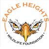 EagleHeightsUK