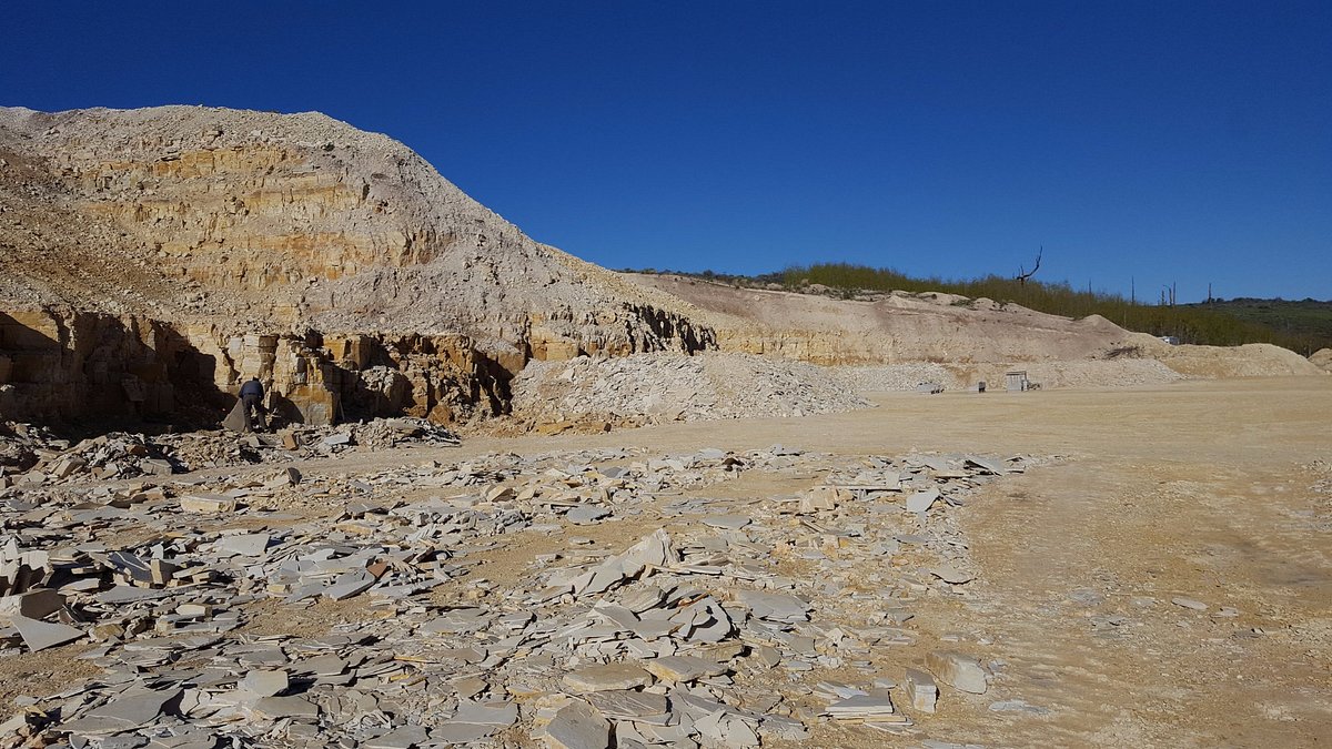 Fossil Safari at Warfield Fossil Quarries (Kemmerer) - All You Need to ...