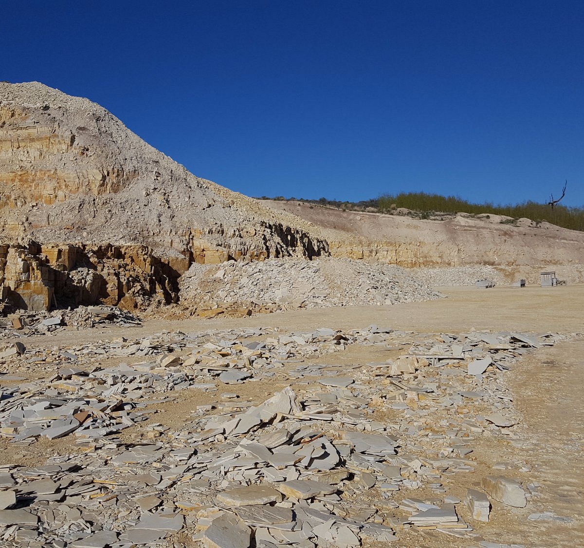 Fossil Safari at Warfield Fossil Quarries (Kemmerer) - All You Need to ...