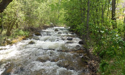 Rushing river from Beavercreek Mountain