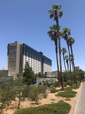 The Westin Lake Las Vegas Resort & Spa, Las Vegas – Updated 2023 Prices