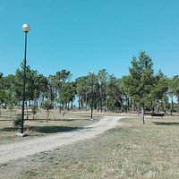 Camino iluminado dentro del parque.