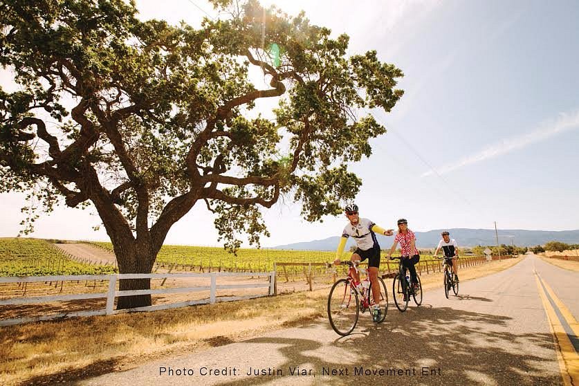 santa barbara wine cycling tours