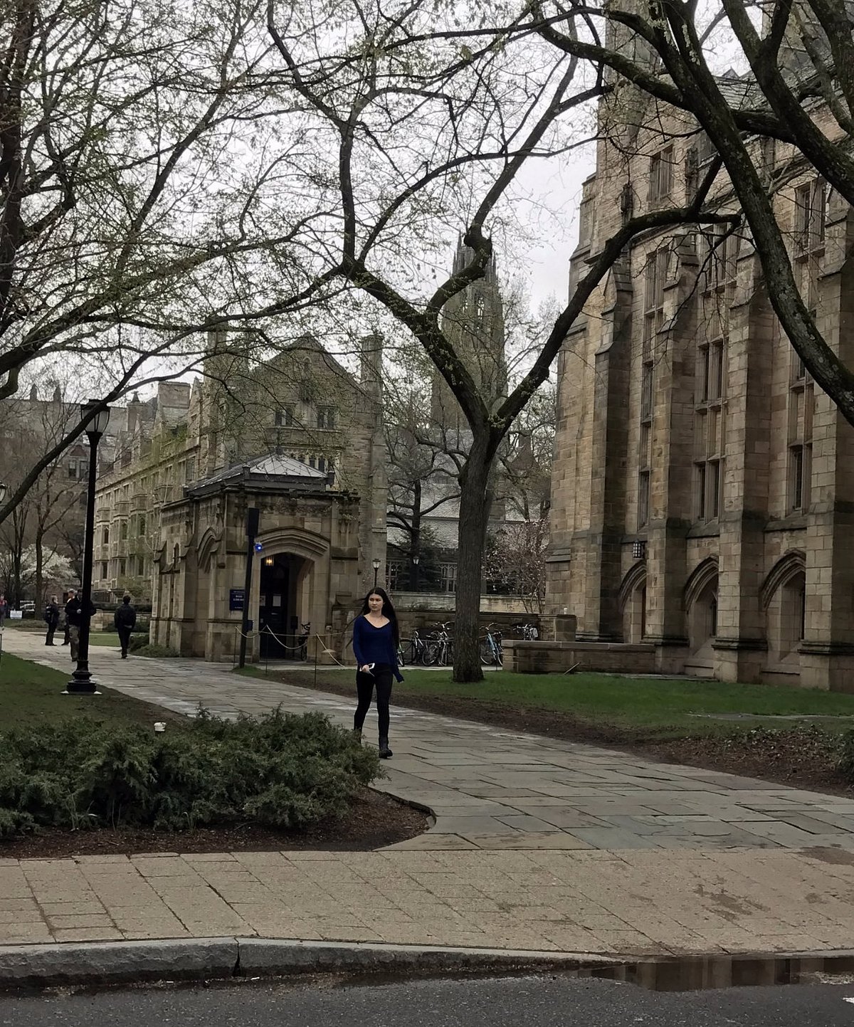 Yale Alumni Association - AMERICAN GHOST TOWN: THE URBAN HISTORY